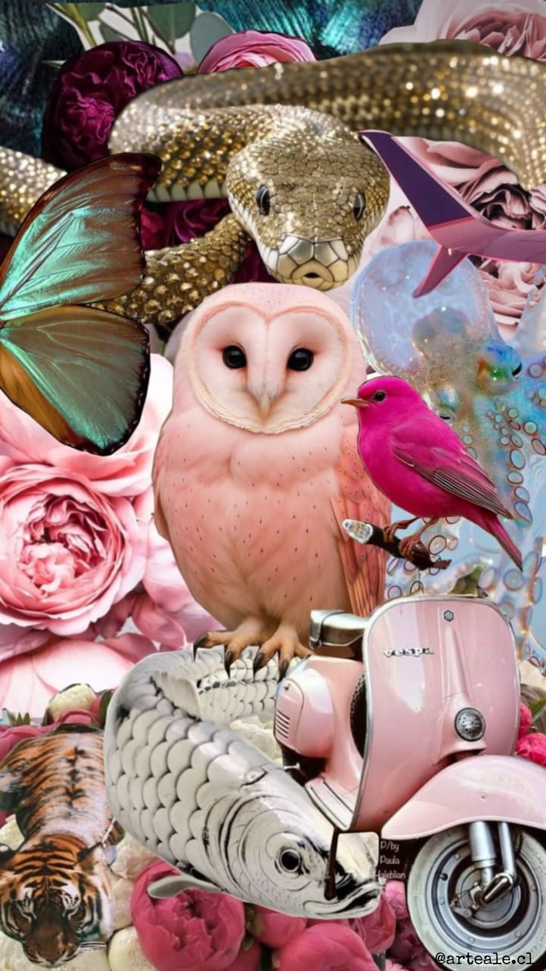 Collage Pink Búho